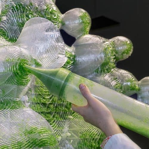 Living Sculptures | Étude d'organismes vivants à l'ère numérique | 2019 | H.O.R.T.U.S. XL Astaxanthin.g© | Photo. NAARO©